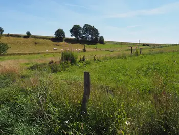 Beausaint (La Roche-en-Ardenne, Belgium)